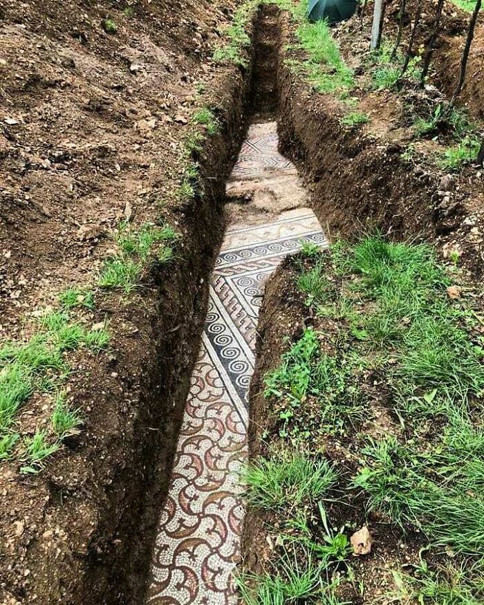 Ancient mosaic floor uncovered in a trench, showcasing intricate patterns and historical craftsmanship.
