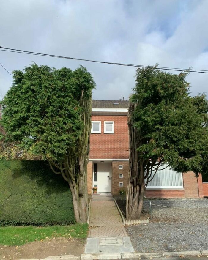 Brick house with two tall trees awkwardly framing the front entrance, showcasing hilariously bad design.