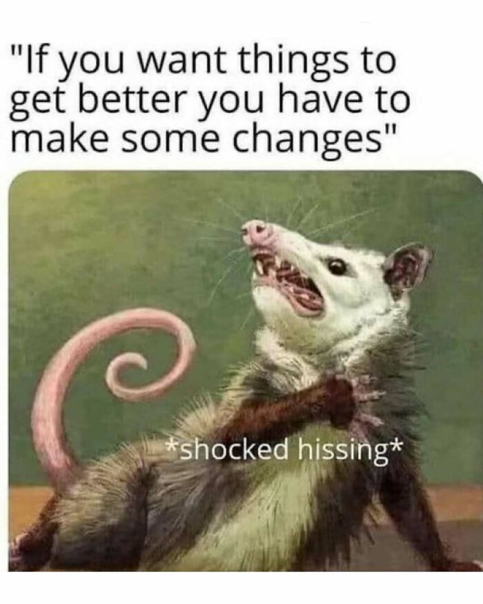 Funny-Relatable-Ig-Animal-Memes