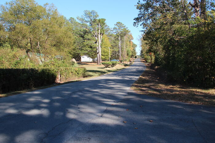 Rural road surrounded by trees under clear blue sky, hinting at location tied to weird unsolved mysteries.