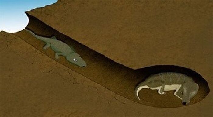 Illustration of a prehistoric animal in a burrow, highlighting history cool kids from the past.