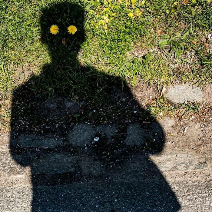Shadow on grass with flowers as eyes, creating a unique garden artwork effect.