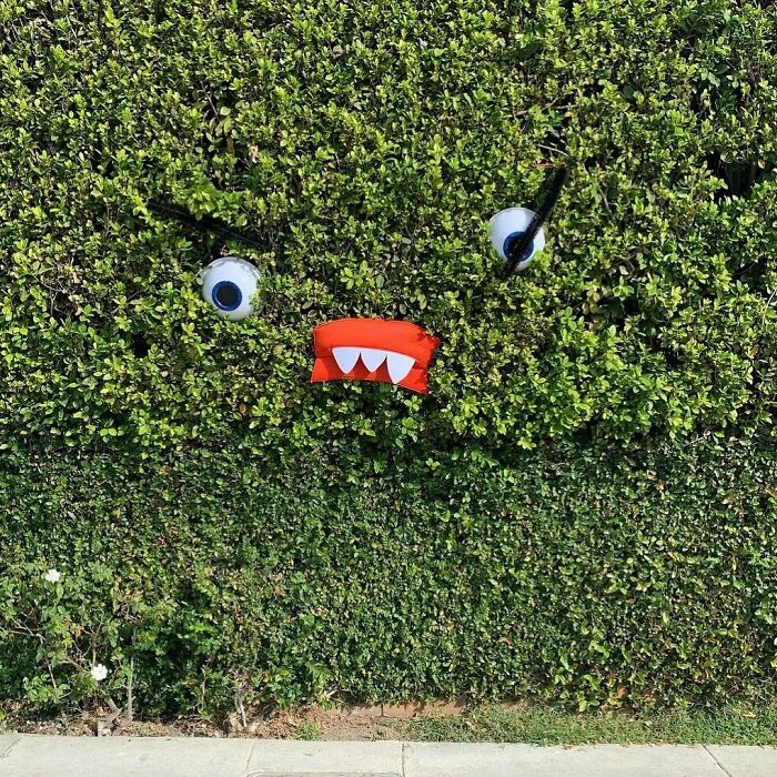 Unique garden design with a hedge shaped like a monster face, featuring big eyes and red mouth.