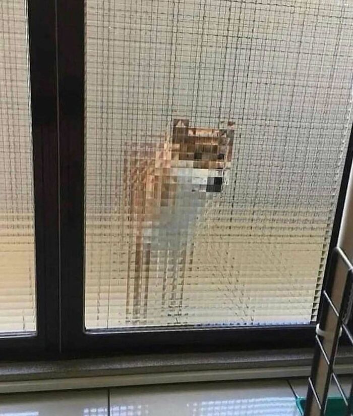 A dog viewed through frosted glass, creating a pixelated effect, adds uniqueness to the garden ambiance.