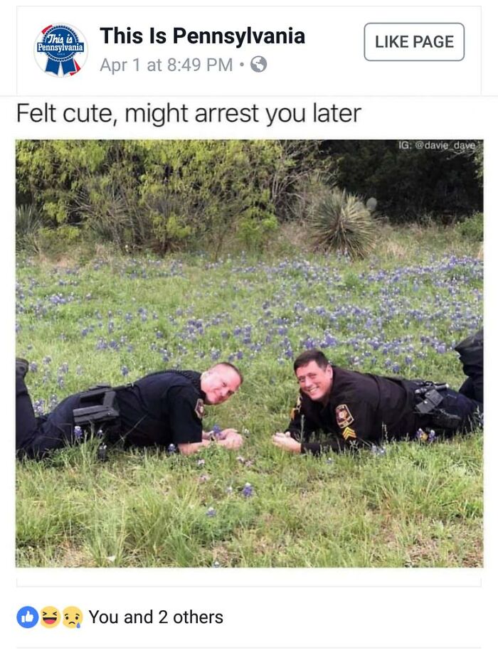 Police officers lying in a field, capturing the humor of memes in Pennsylvania.