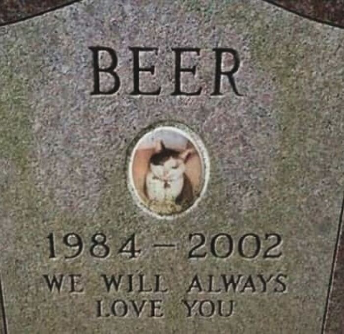 Tombstone of a cat named Beer, with a photo of the cat and engraved dates 1984–2002, in a funny context.
