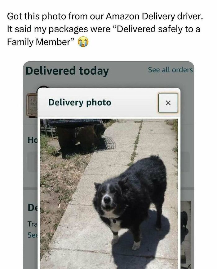 Funny-Relatable-Ig-Animal-Memes