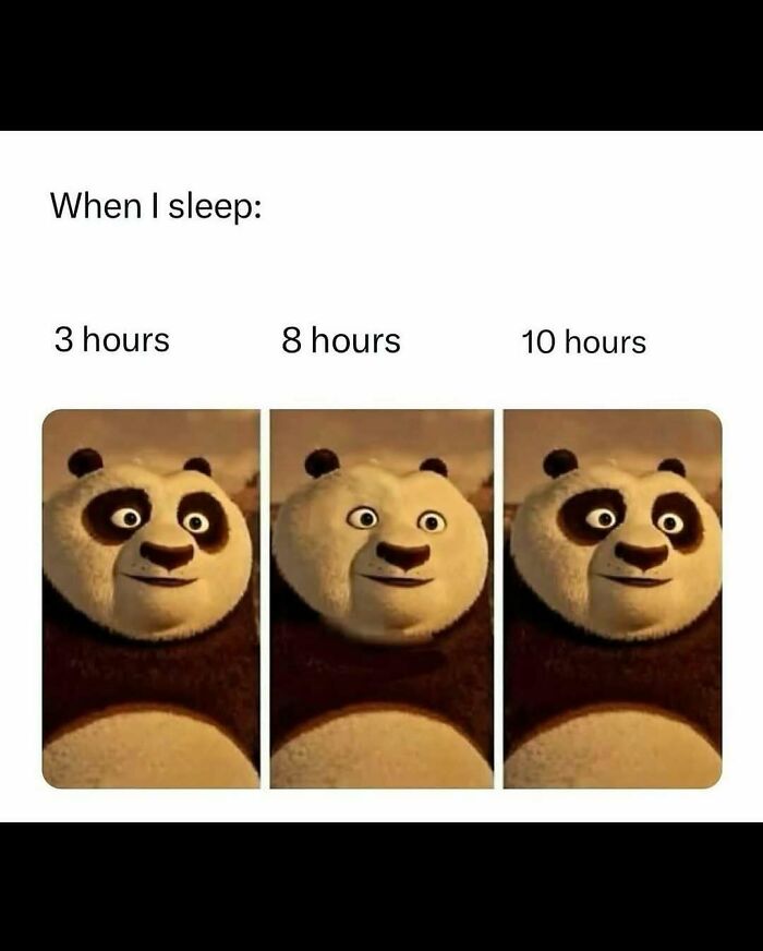 Funny-Relatable-Ig-Animal-Memes