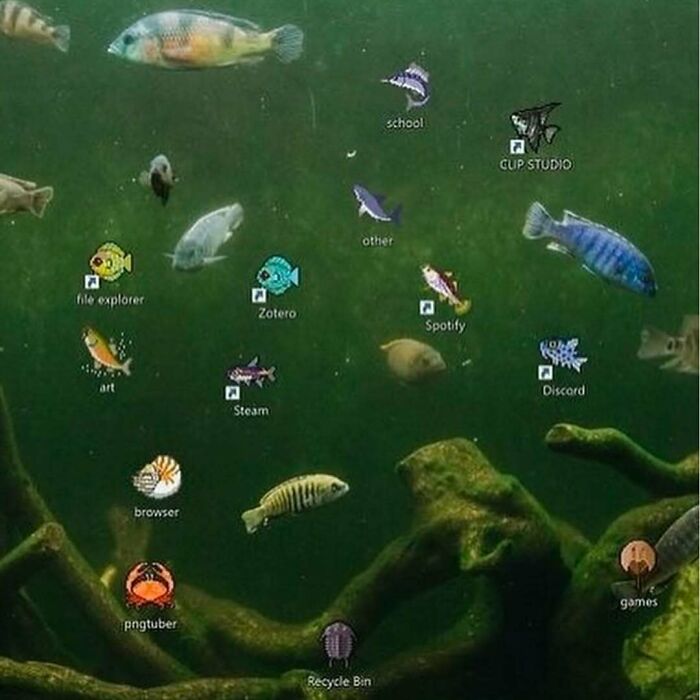 A humorous desktop screen with fish as icons in an underwater scene, representing confusing and funny context.