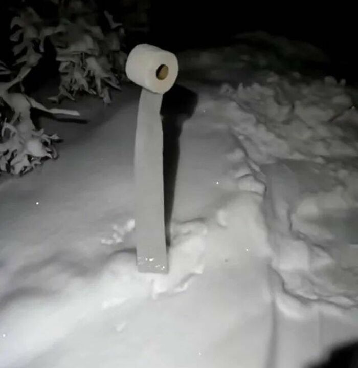Roll of toilet paper standing upright in the snow at night, creating a confusing and funny scene without any context.