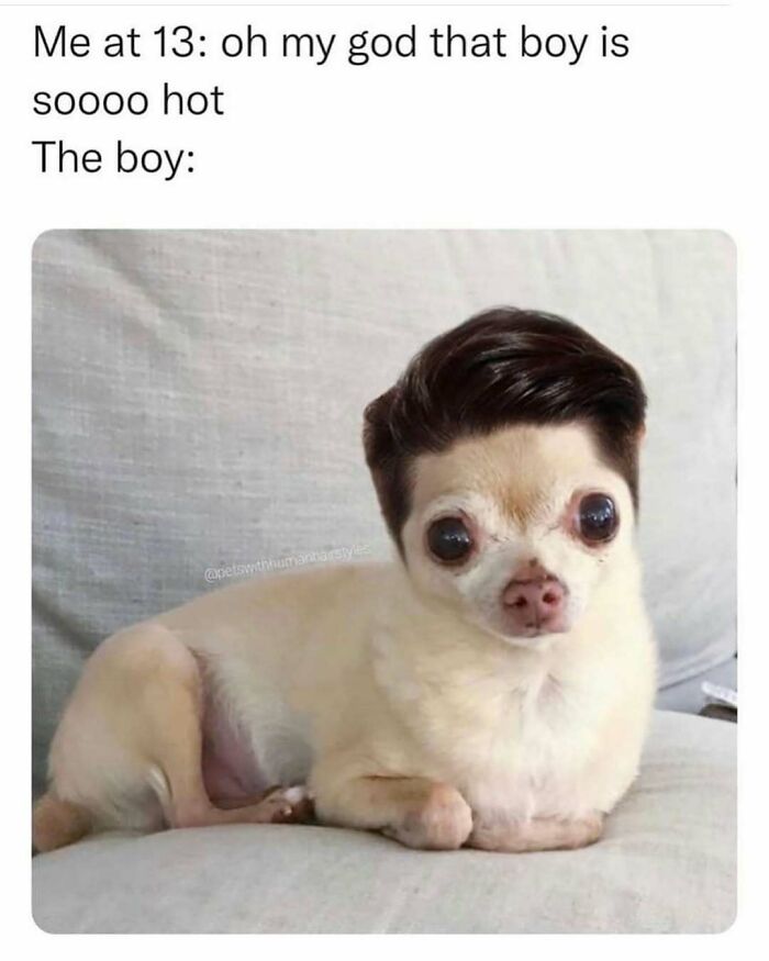 Funny-Relatable-Ig-Animal-Memes