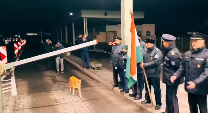Guards Break Into Applause As Adorable Stray Dog Becomes First To Cross Romania-Hungary Border Guards Break Into Applause As Adorable Stray Dog Becomes First To Cross Romania-Hungary Border