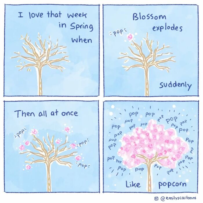 Comic strip illustrating a tree blossoming in spring by Emily Mcgovern, showing blossoms popping like popcorn.
