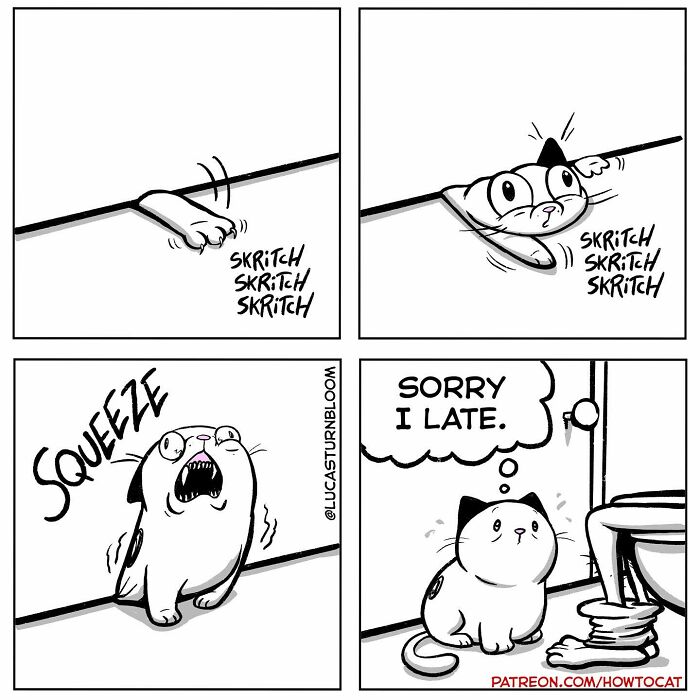 Cat comic strip showing a cat squeezing under a door, saying "Sorry I late."