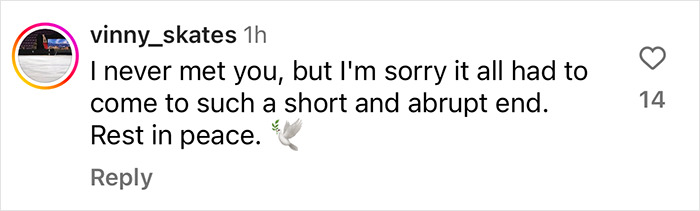 Comment on Instagram expressing grief and condolences with a peace emoji.