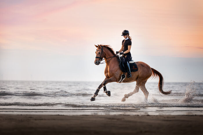Person riding a horse along the beach at sunset, captured for the International Pet Photographer Awards 2024.