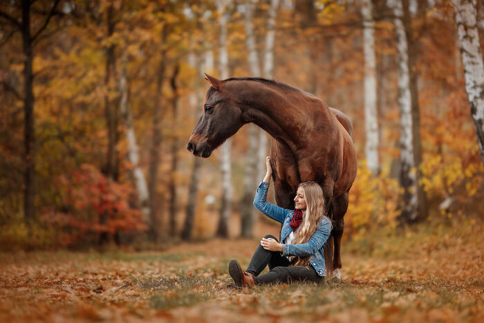 A woman seated in an autumn forest gently pets a horse, exemplifying pet photography excellence.
