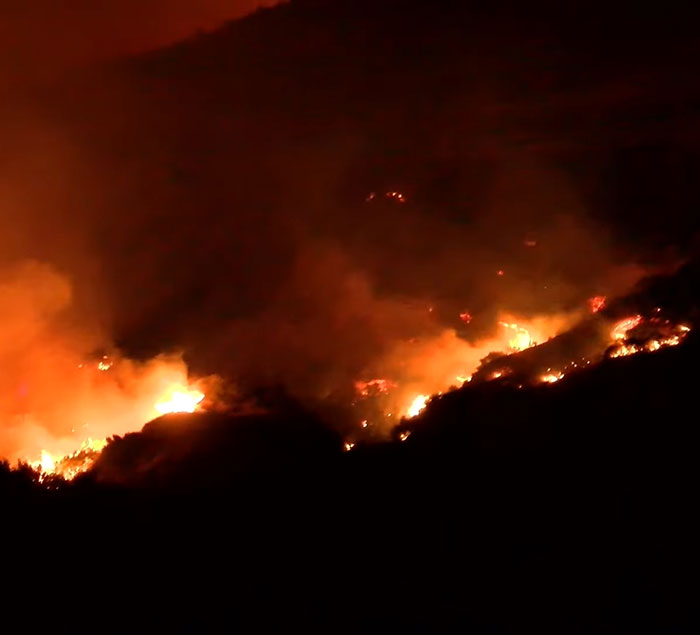 &ldquo;Girl Read The Room&rdquo;: Influencer Gets Reality Check After &ldquo;Insensitive&rdquo; Post About LA Wildfires