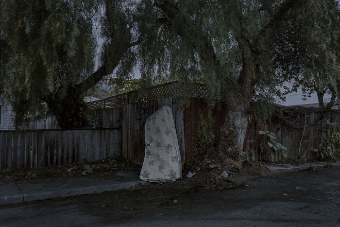 Suburban disconnection depicted by a discarded mattress against a wooden fence under large trees in a dim, quiet setting.