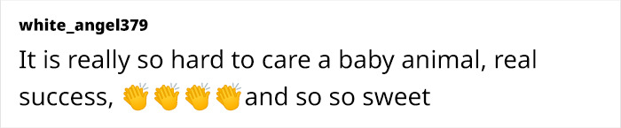 Comment by white_angel379 praising the sweet success of rescuing a tiny creature.