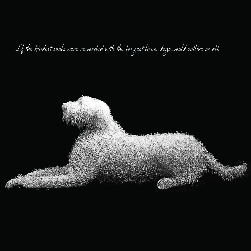 Chicken wire sculpture of a dog lying down on a black background.