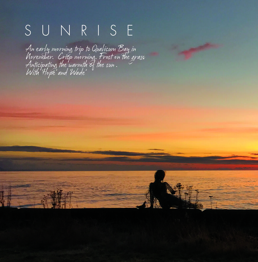 Chicken wire sculpture silhouetted at sunrise by the sea with vibrant sky.
