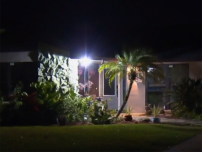 House exterior at night with palm tree and plants, related to principal arrest incident. House exterior at night with palm tree and plants, related to principal arrest incident.