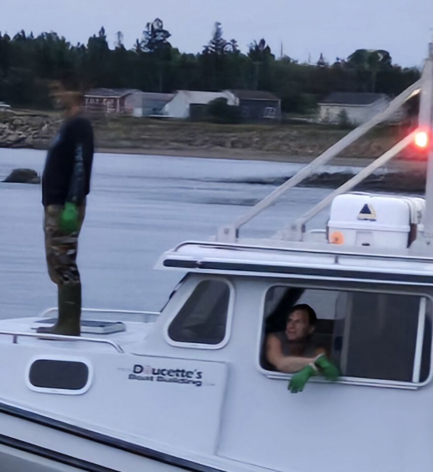 Here Are 19 Random Photos From My Camera Roll