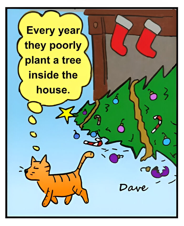 Humorous one-panel comic featuring a cat criticizing a poorly placed Christmas tree inside a house.