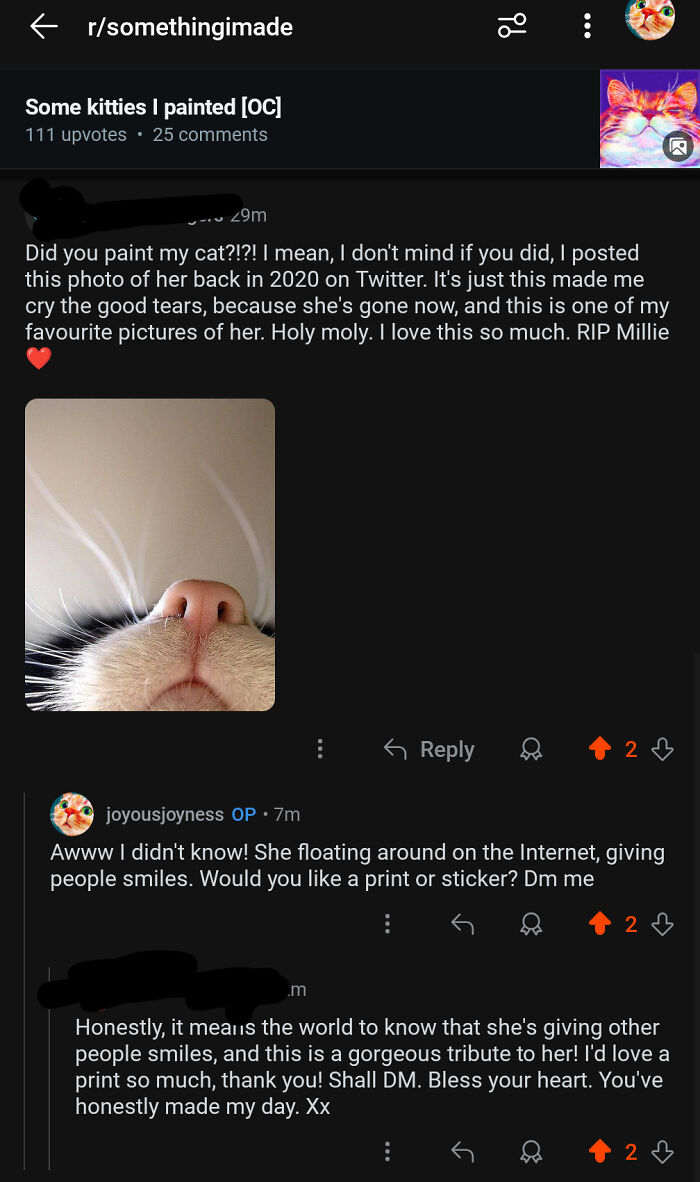 Artist Creates "Boop" Painting Of A Cat's Nose And Finds The Cat&rsquo;s Owner By Pure Chance