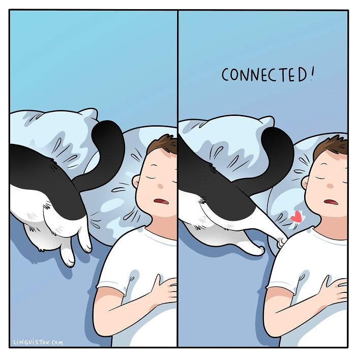Comic by Lingvistov showing a cat snuggling with a sleeping person, with the word "Connected" above them.