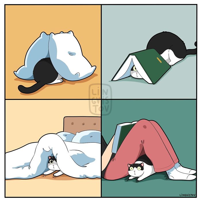 Comic by Lingvistov illustrating daily cat antics: cat hiding under pillow, book, blanket, and legs.