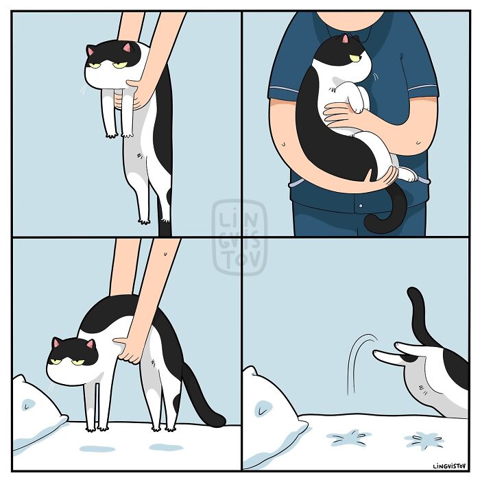 Comic by Lingvistov showing a person lifting a cat, holding it, and placing it on a bed, depicting daily cat life.
