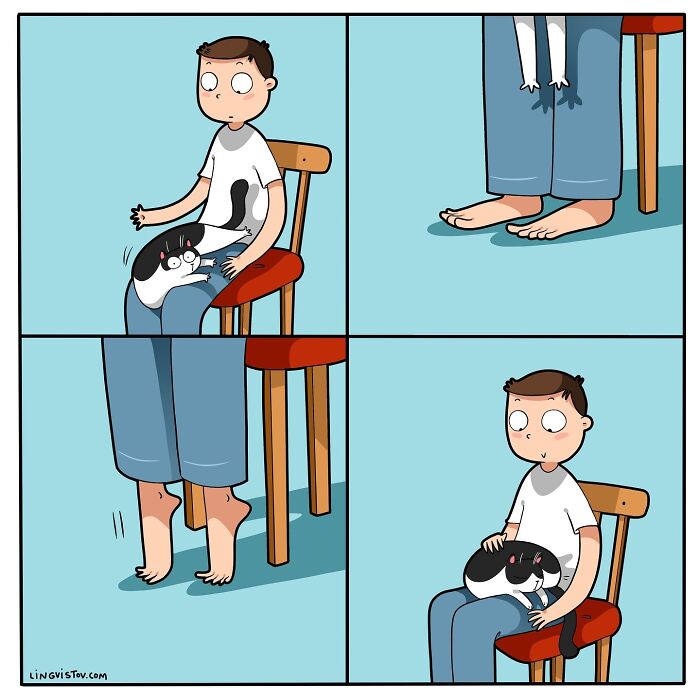 Man on chair with cat on lap, cat jumps off, then cat returns, illustrating the realities of living with a cat.