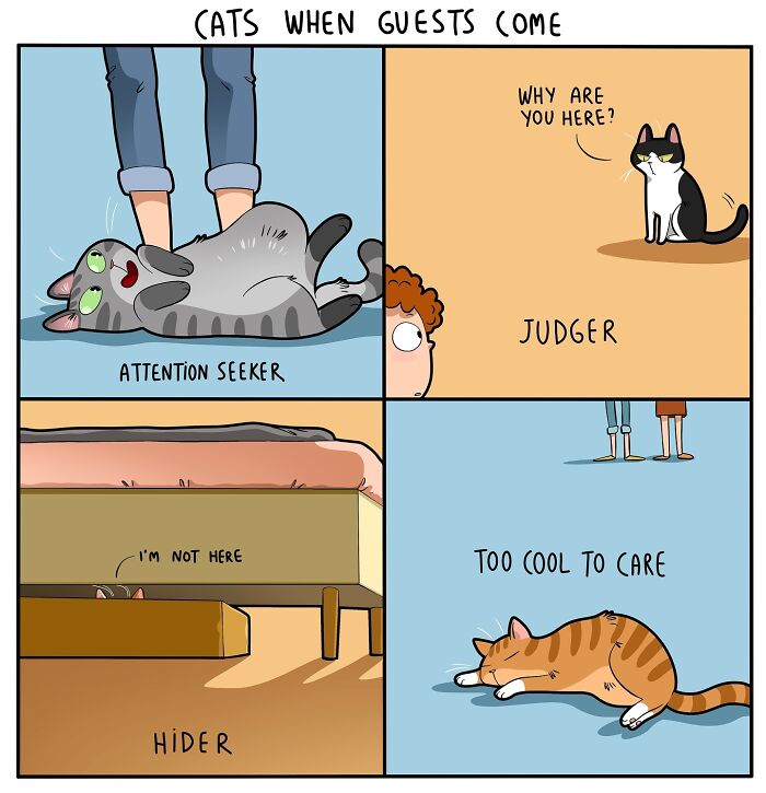 Comic showing daily cat behaviors with guests: attention seeker, judger, hider, and indifferent cat on the floor.