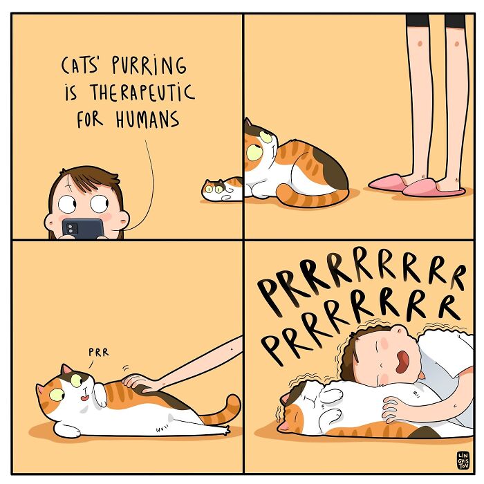 Comic about living with a cat, highlighting the therapeutic effects of a cat's purring on people.