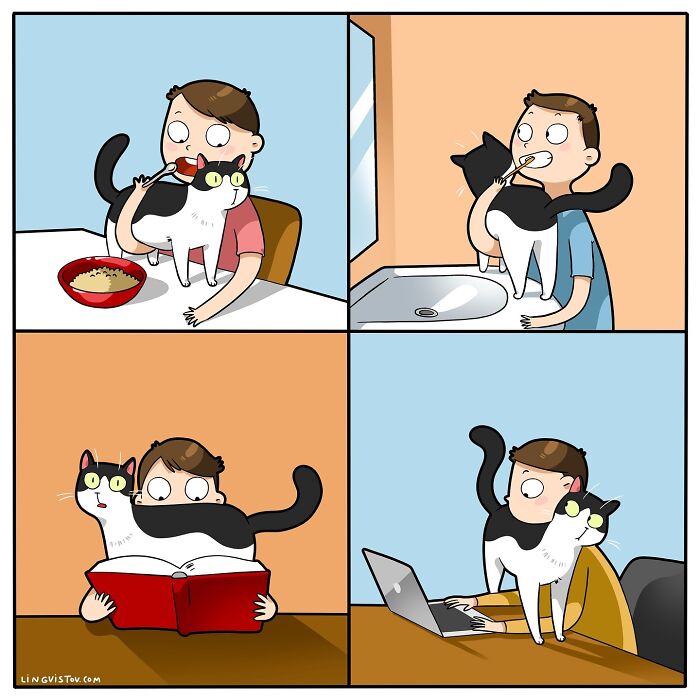 Illustration of daily life with a cat: cat interrupts eating, tooth brushing, reading, and working on a laptop.