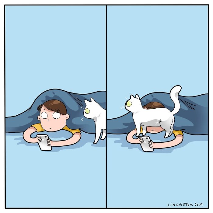 Comic illustration of a person using a phone under a blanket, with a cat walking over their face, highlighting daily cat life.