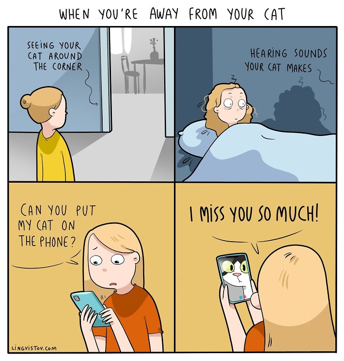 Comics by Lingvistov depicting daily life with a cat, featuring moments of missing and communicating with a pet.