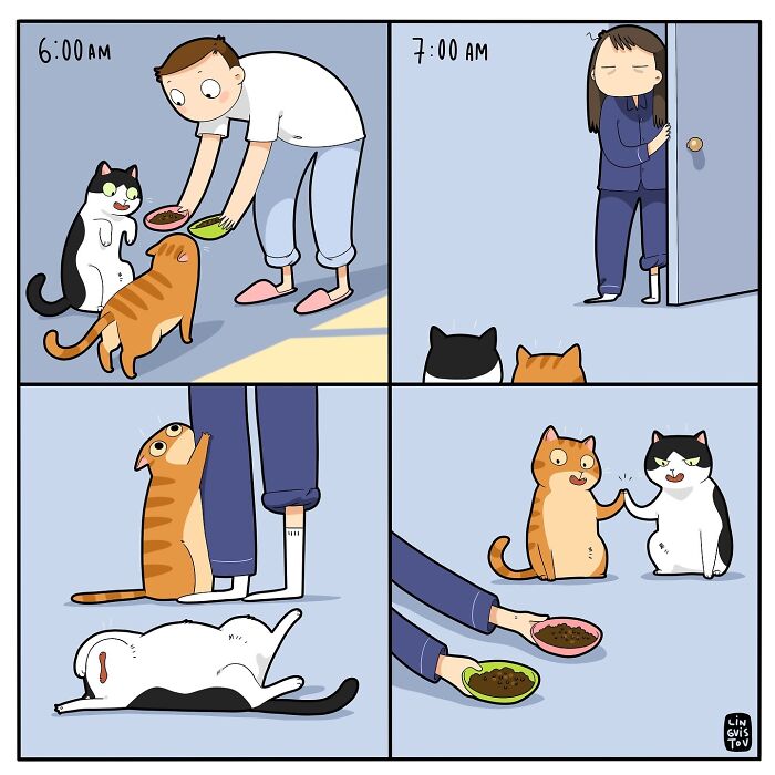 Comics by Lingvistov depicting daily realities with cats being fed and interacting with humans at different times.