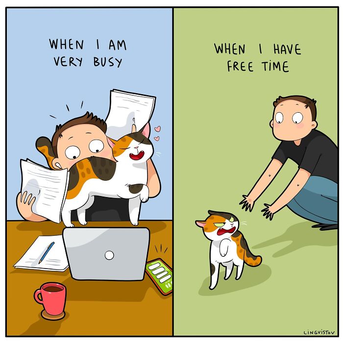 Comic depicting the daily realities of living with a cat; busy vs. free time interactions with a playful cat on a desk.
