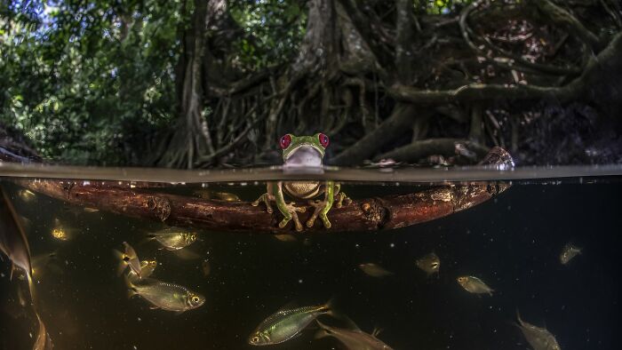 International Photographer Of The Year: Bath Time By Pepe Manzanilla
