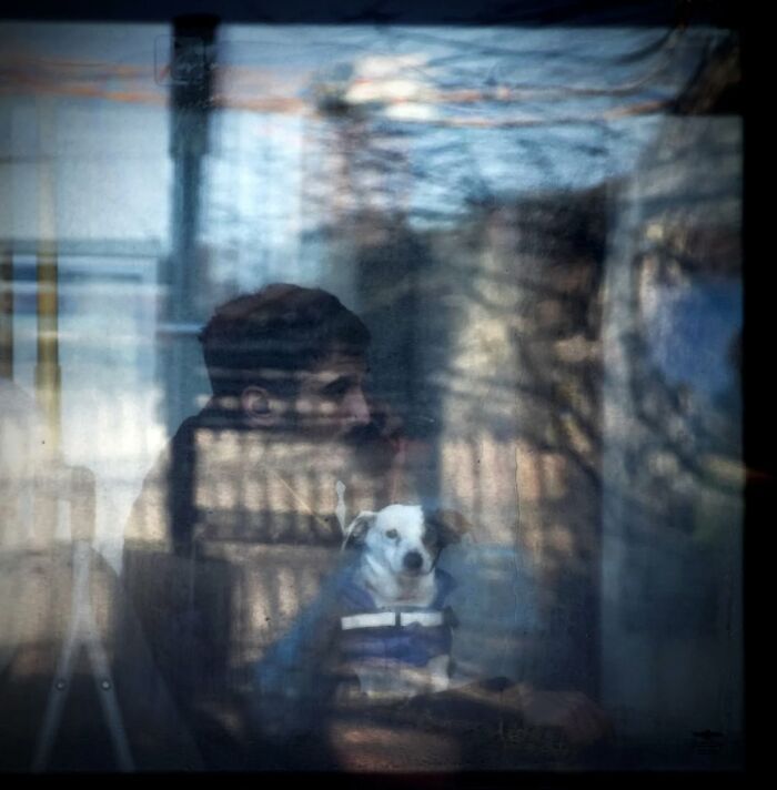 A contemplative person with a dog, captured creatively through a window, highlighting everyday moments by Nadia Eeckhout.