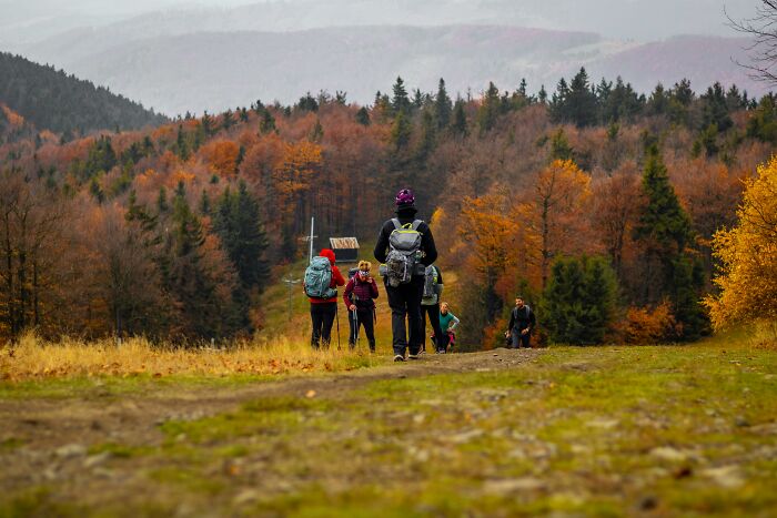 People hiking in a forest during autumn, carrying backpacks with road trip essentials for a journey. People hiking in a forest during autumn, carrying backpacks with road trip essentials for a journey.