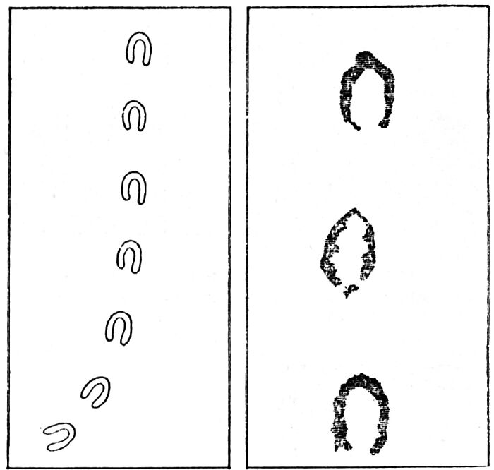 Illustrations of mysterious footprints, representing weird unsolved mysteries.