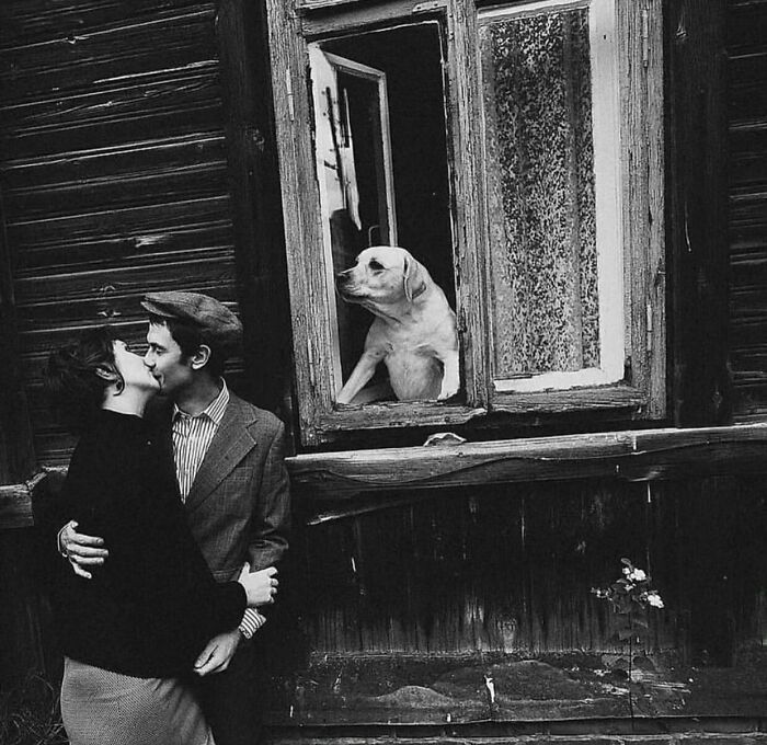 Couple kissing near a window with a dog watching, capturing a dog-themed street photo moment.