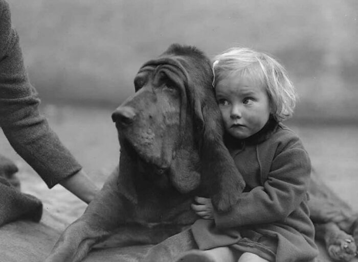 Child hugging a large dog, showcasing a tender moment in this dog-themed street photo.