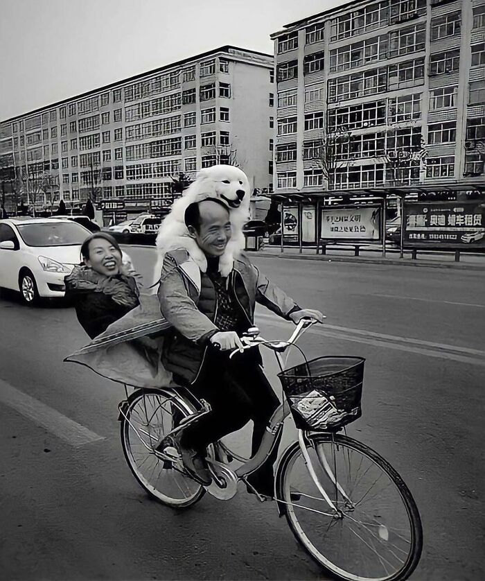 Man riding a bike with a dog on his shoulders and a woman sitting behind, captured in a dog-themed street photo.