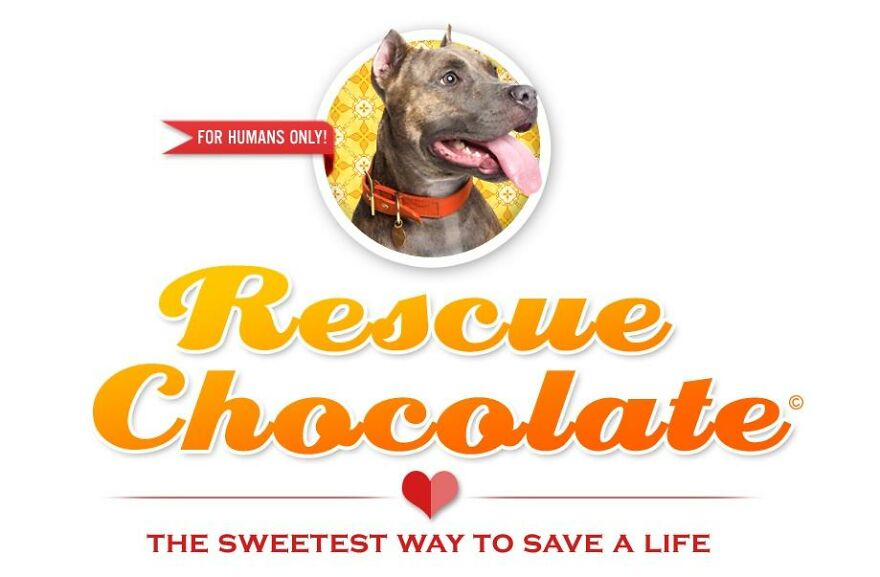 This Woman Turned Her Love For Rescue Dogs And Chocolate Into A Life-Saving Business