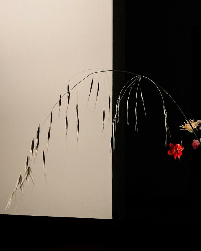 Through The Lens Of Alina Trifan: Turning The Ordinary Into Dreamscapes